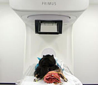 大学病院における放射線治療